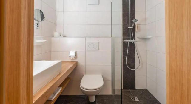 Одноместный номер Comfort Hotel Lindenhof