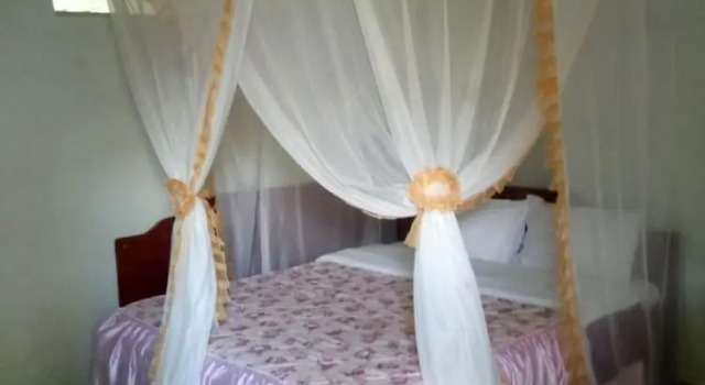 Номер Executive Hotel Horns