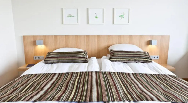 Двухместный номер Standard Hotel Reykjavik Askja