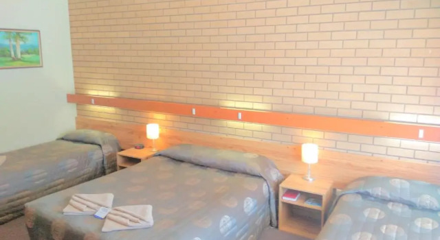 Номер Standard Holbrook Town Centre Motor Inn