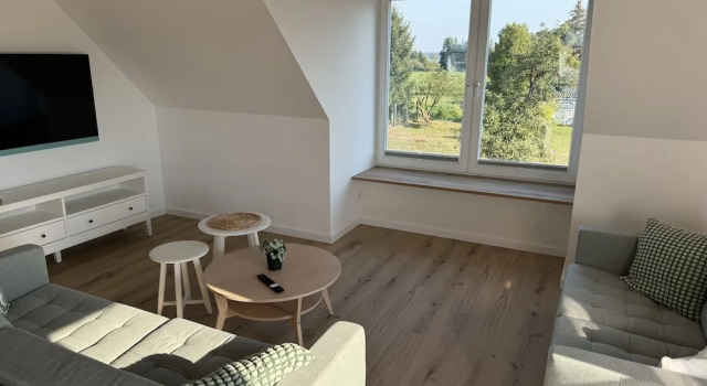 Апартаменты Restaurant und Pension Zur Wildgans