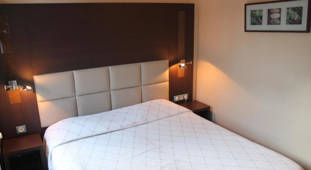 Hotel du Dauphin