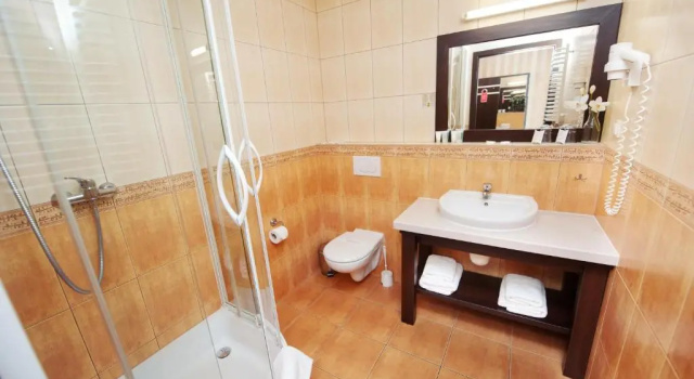 Трёхместный номер Standard Hotel Wielopole