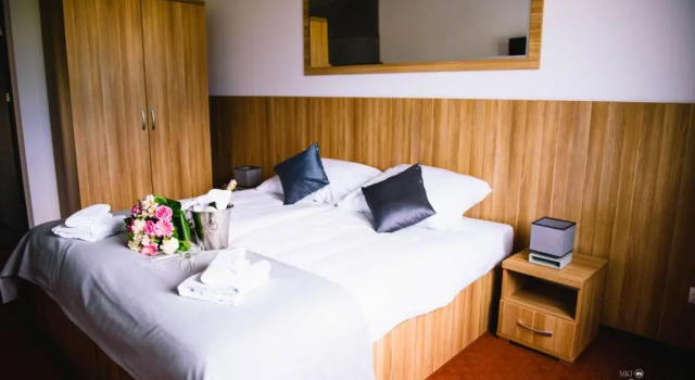 Двухместный номер Standard Hotel Turkovia