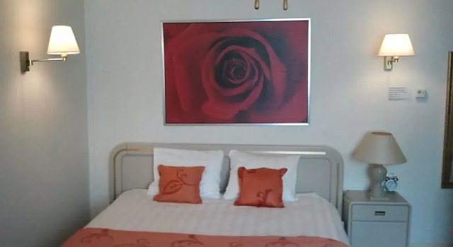 Steyn Hotel & Apartments