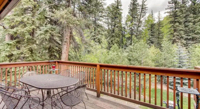 Люкс с видом на реку Estes Park Condos
