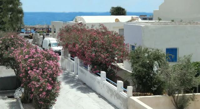 Вилла Deluxe Captain Lazaros Detached Beach Villa and Suites
