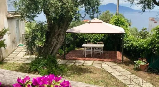 Номер Deluxe Sorrento Olive Tree Garden