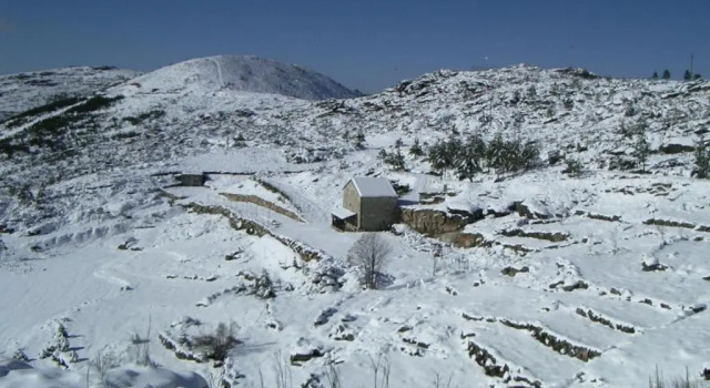 Коттедж Quinta De Cabrum