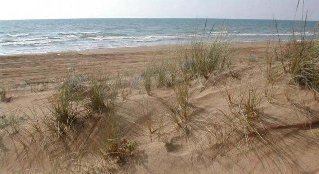 Коттедж c 1 комнатой Tre Fontane sul Mare