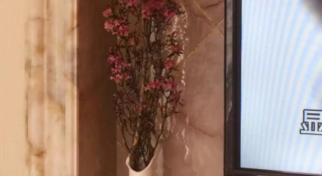 Люкс Deluxe Yajiang Zhangyu Business Hotel