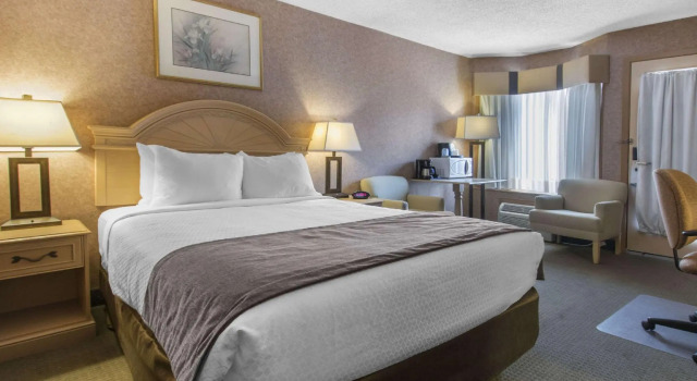 Двухместный номер Standard Flamingo Hotel