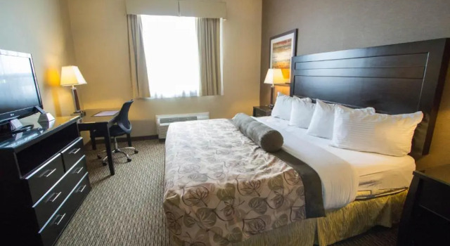 Одноместный люкс Best Western Estevan Inn & Suites