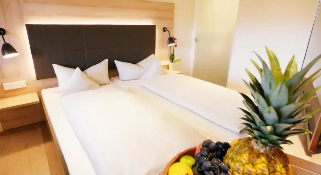 Полулюкс Berghotel Zollersteighof