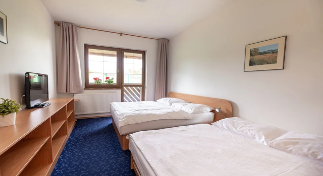 Студия Classic с балконом Apartmány Engadin