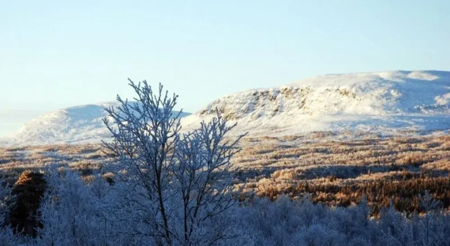 Шале Fjällfrid stugby