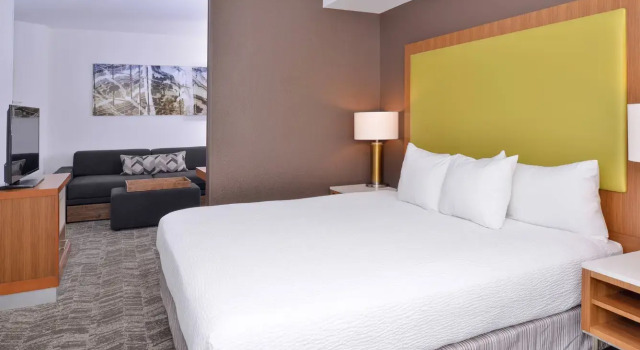 Двухместный люкс SpringHill Suites Fairfax Fair Oaks