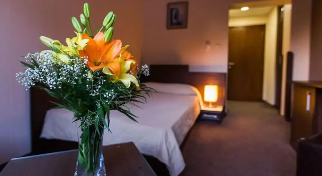 Номер Business Hemus Hotel - Vratza