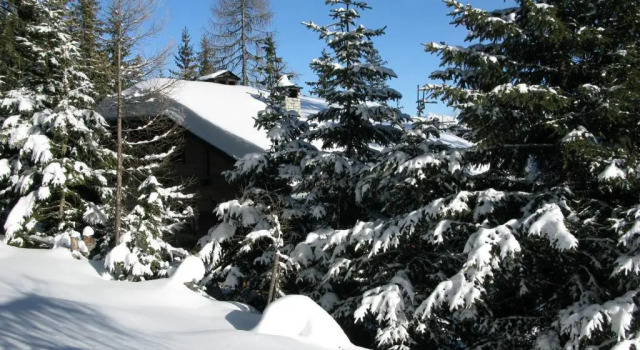 Коттедж Kronplatz Ski Lodge