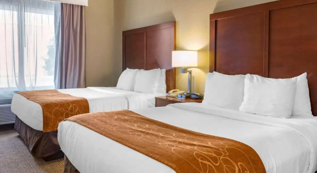 Двухместный люкс Comfort Suites Jonesboro University Area