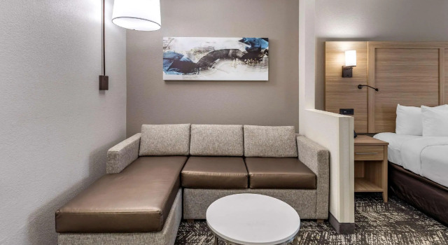Люкс Comfort Suites Anderson-Clemson