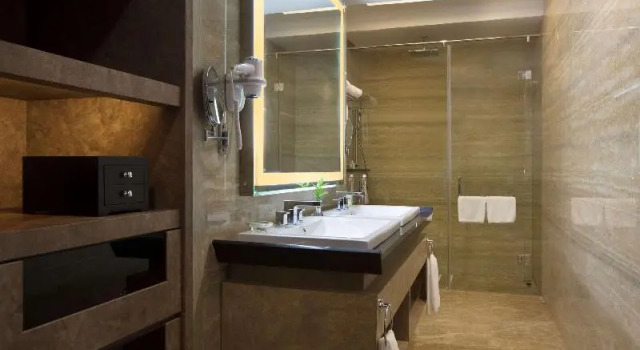 Одноместный номер Standard Wyndham Panbil Batam