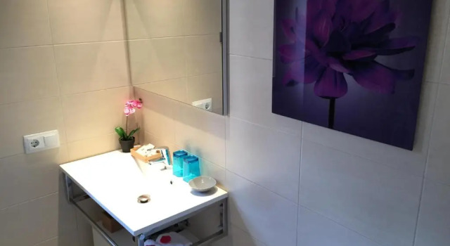 Люкс Executive с 2 комнатами Residencial Suites Valldemossa - Turismo de Interior