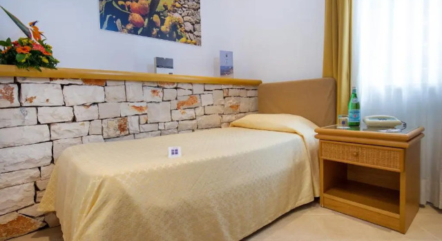 Одноместный номер Small Hotel Terminal - Caroli Hotels