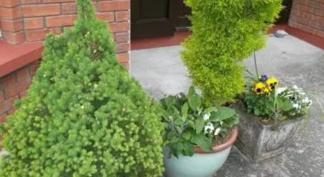 Willow Lodge BB, Book Hotel Hotels in Kerry with Parking, Parking
