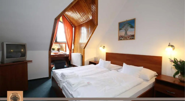 Двухместный номер Standard Hotel Főnix