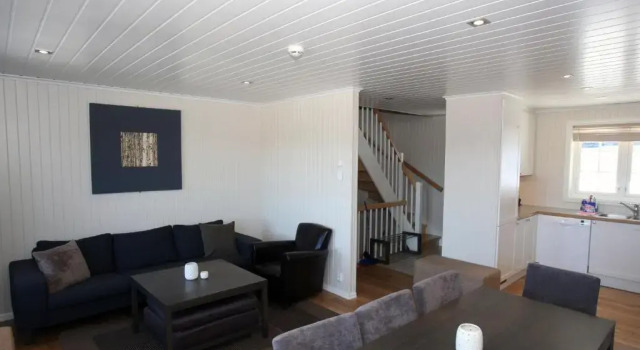 Apartment 4 Zimmer Havsdalsgrenda Geilo Apartments