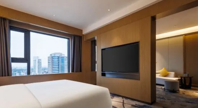 Люкс Business Magpie Hotel