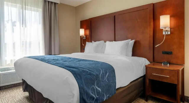 Одноместный люкс Comfort Suites Daytona Beach-Speedway