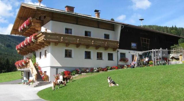 Апартаменты Ferienwohnung Schoberhof