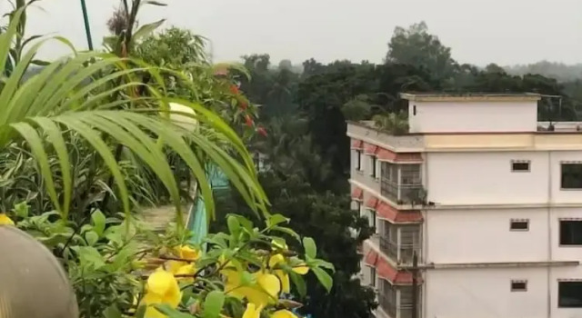 Номер Deluxe Green View Resthouse