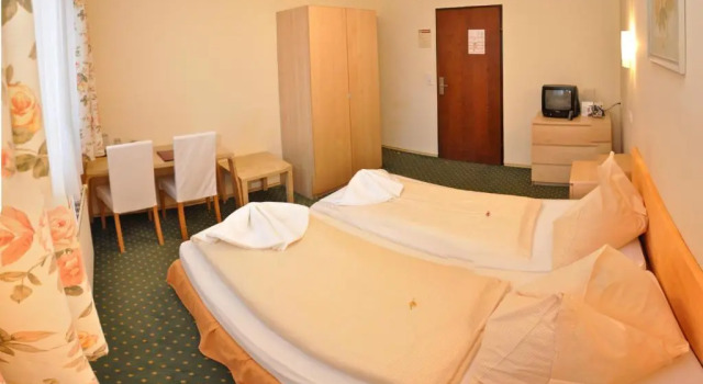 Двухместный номер Standard Hotel Zlami-Holzer