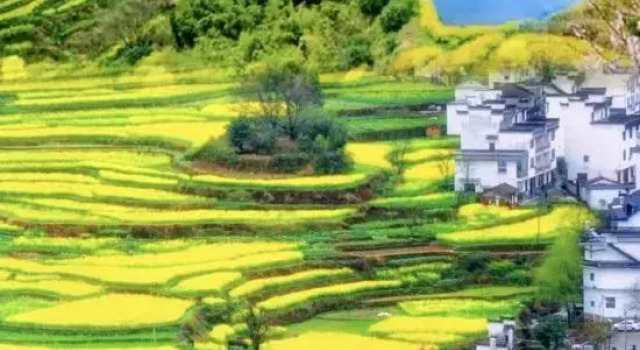 Wuyuan Fanshe・Life Qingshe Xiangye Boutique Stay (Huangling Scenic Area), Prenota Boutique Shangrao Jiangxi