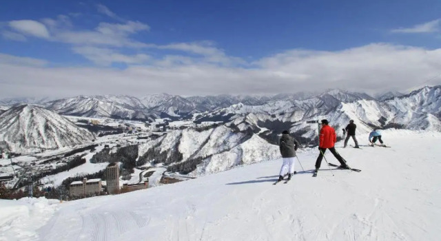 Апартаменты c 1 комнатой Angel Resort Yuzawa 803