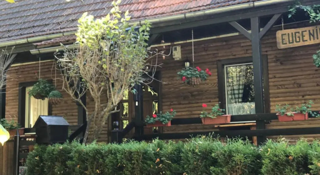 Номер Standard Pensiunea Eugenia