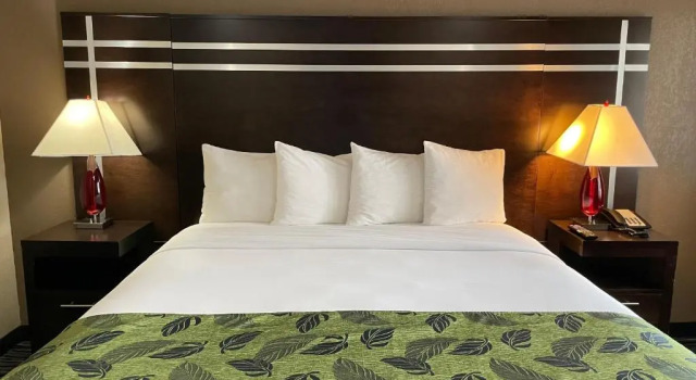 Номер Standard Motel Capri