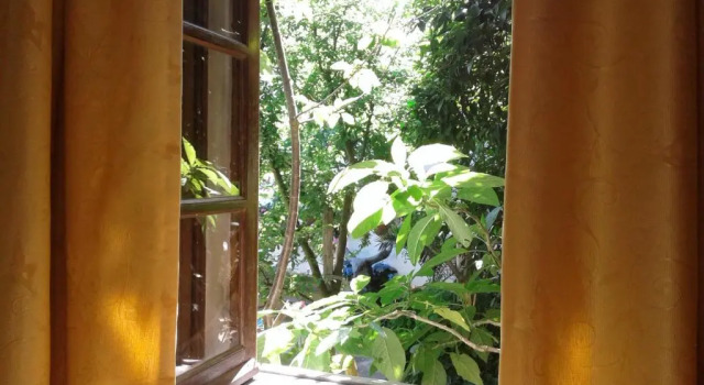 Одноместный номер Standard Patio das Flores