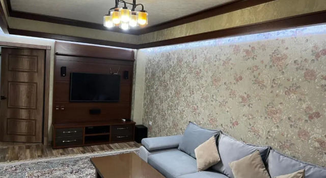 Best Go apartment in the City Center Tashkent (Ц1)