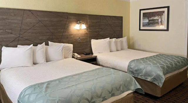 Четырёхместный номер Standard The Inn at Baechtel Creek
