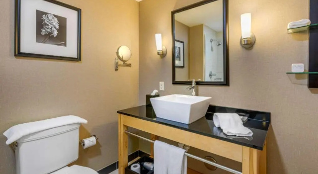 Четырёхместный номер Standard Cambria Hotel Ft Lauderdale, Airport South & Cruise Port
