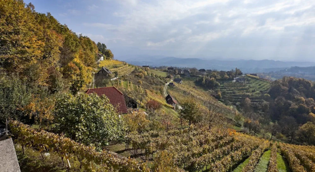 Коттедж Vineyard Cottage Ucman