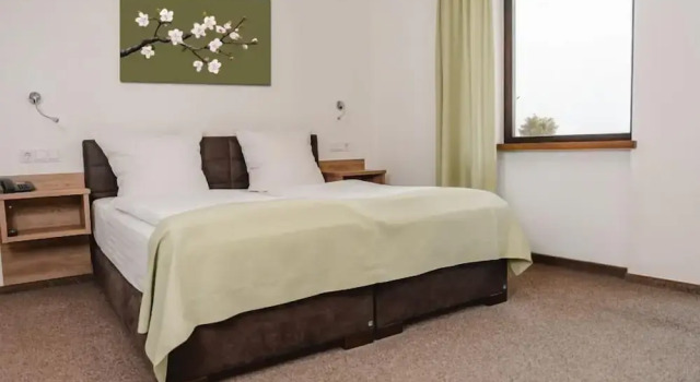 Двухместный номер Standard с балконом и с видом на реку Hotel Lellmann