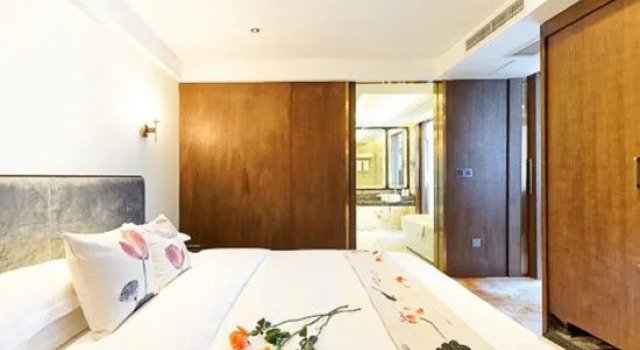 Люкс Executive Wanyou Conifer Hotel