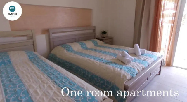 Студия Hotel Evridiki