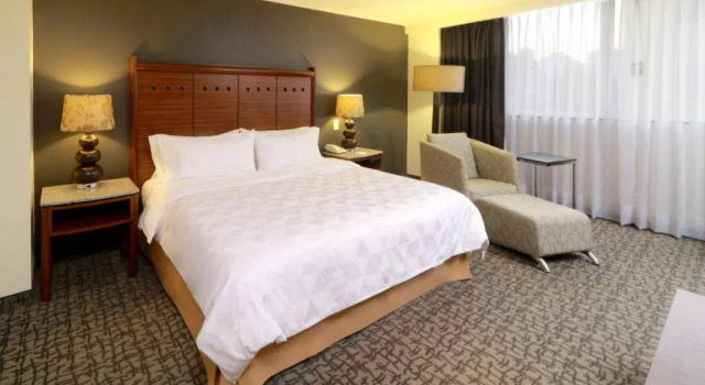 Номер Standard Holiday Inn Ciudad De Mexico-Trade Center by IHG