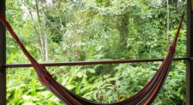 Номер Superior Hotel Finca Maresia